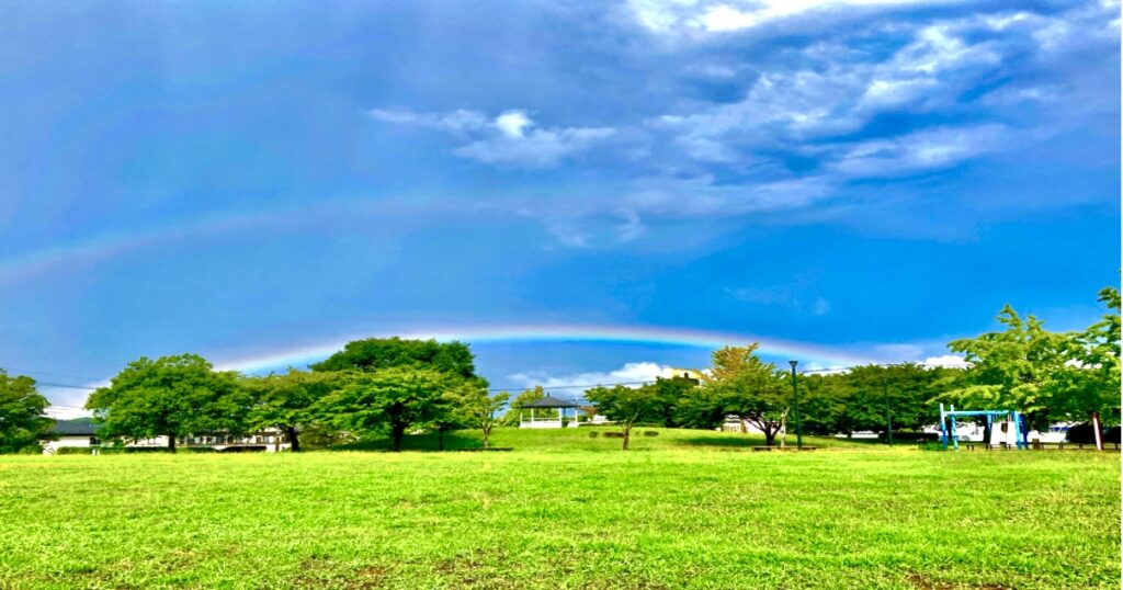 公園に架かる虹