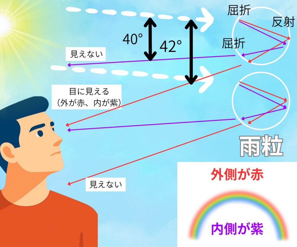 虹が見えるメカニズム
