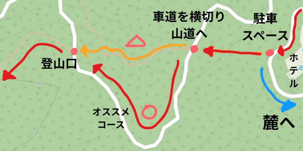 ハイキングコース