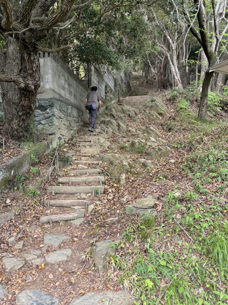 ハイキング道