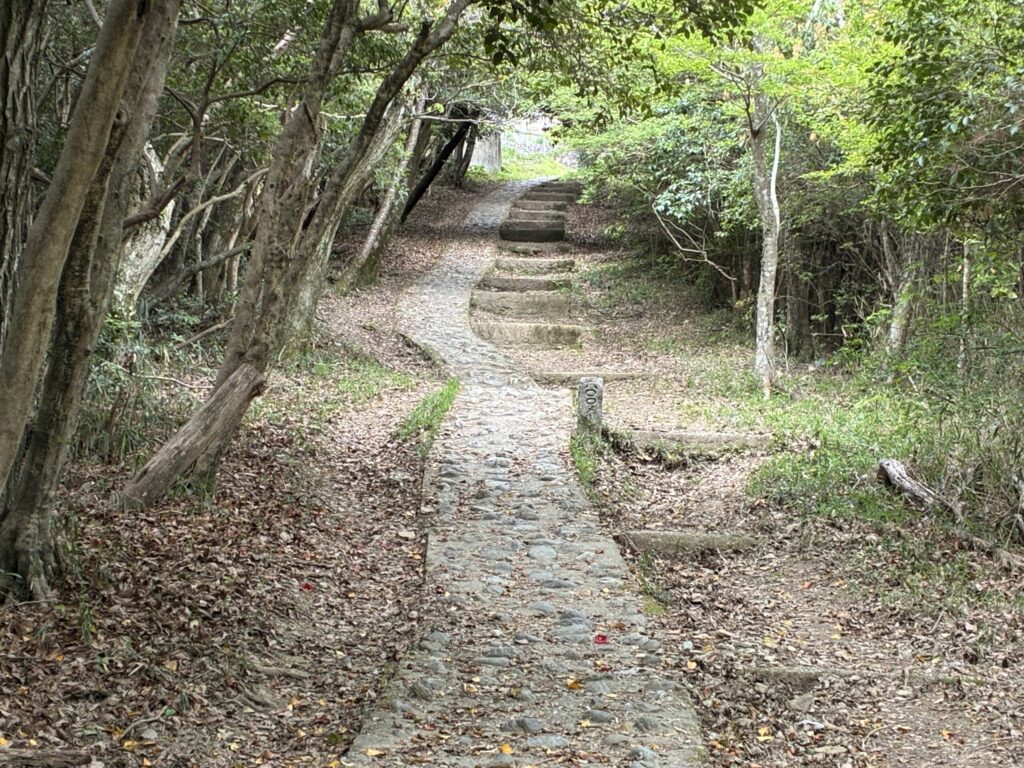 ハイキング道