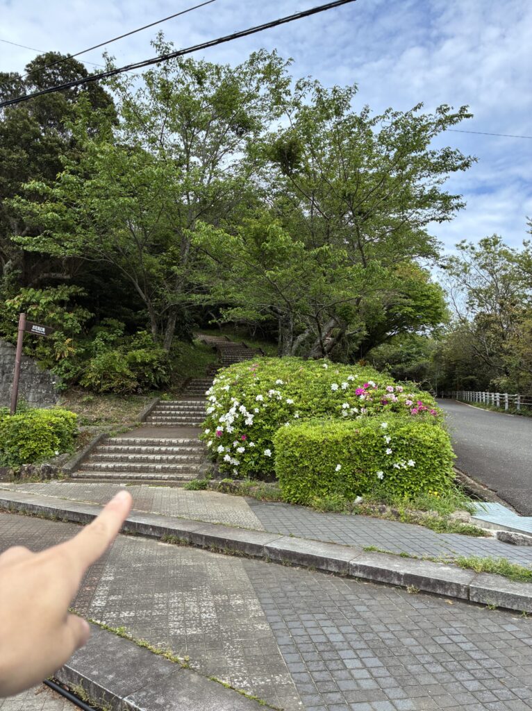 ハイキング道