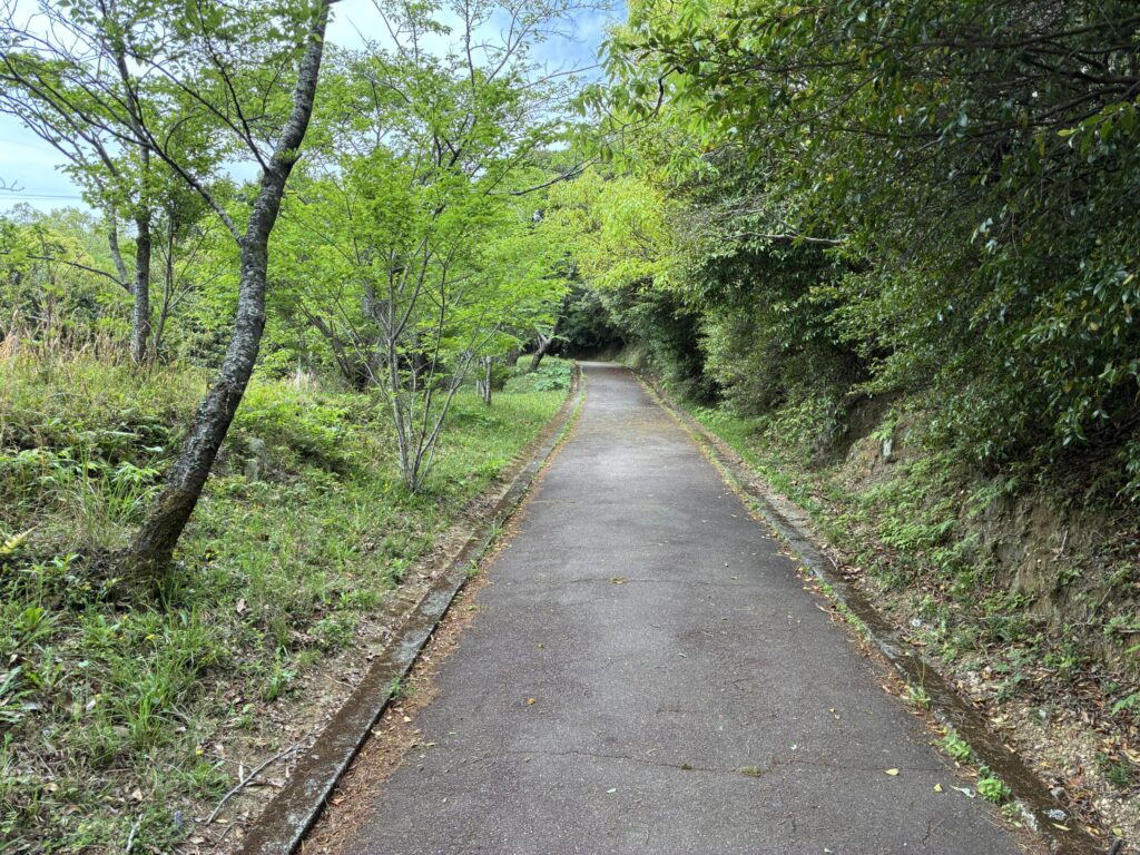 ハイキング道