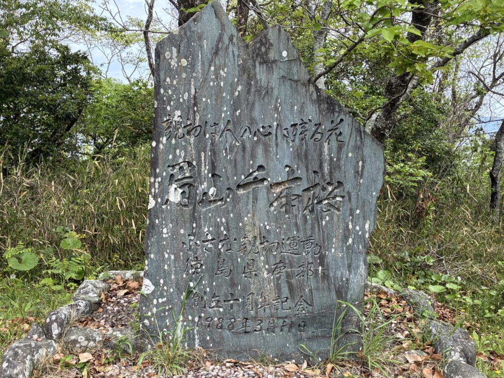 眉山千本桜の石碑