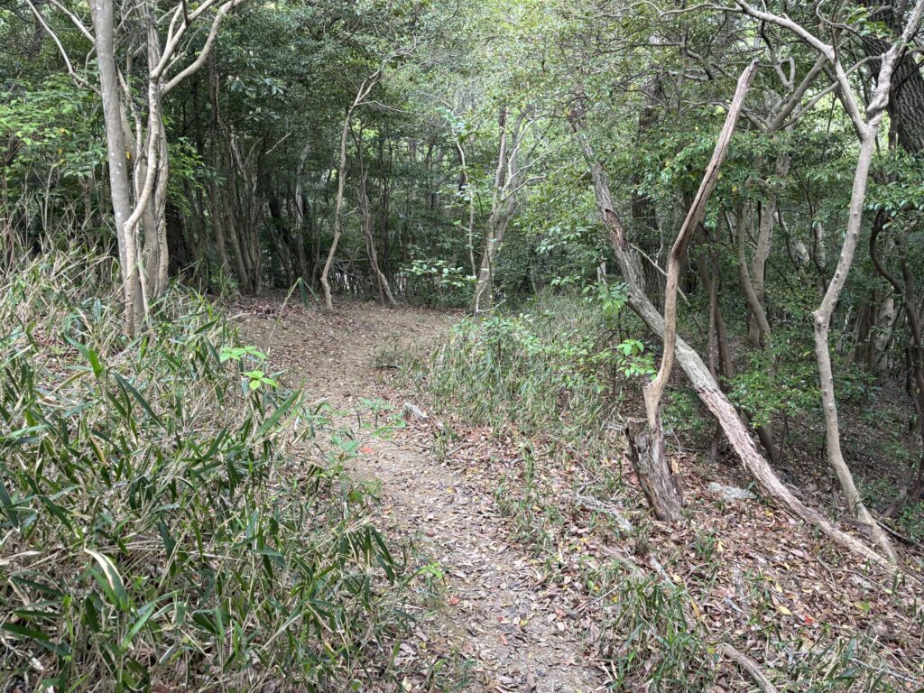 ハイキング道