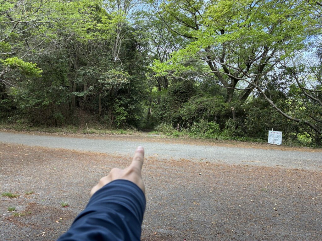 ハイキング道