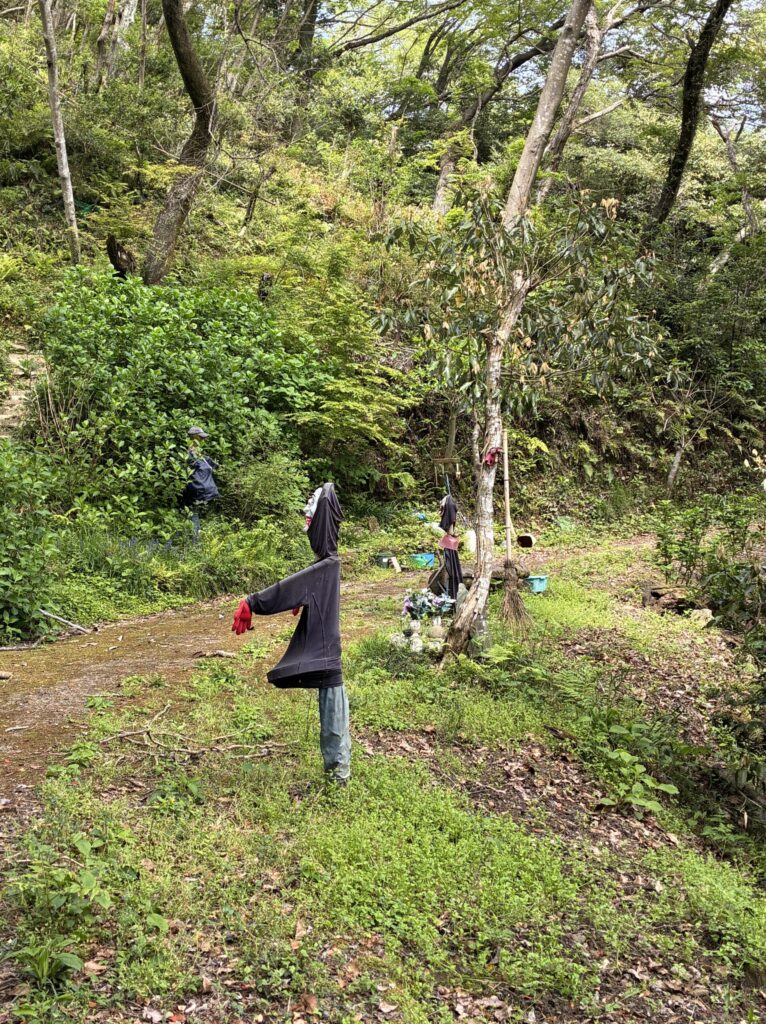 ハイキング道