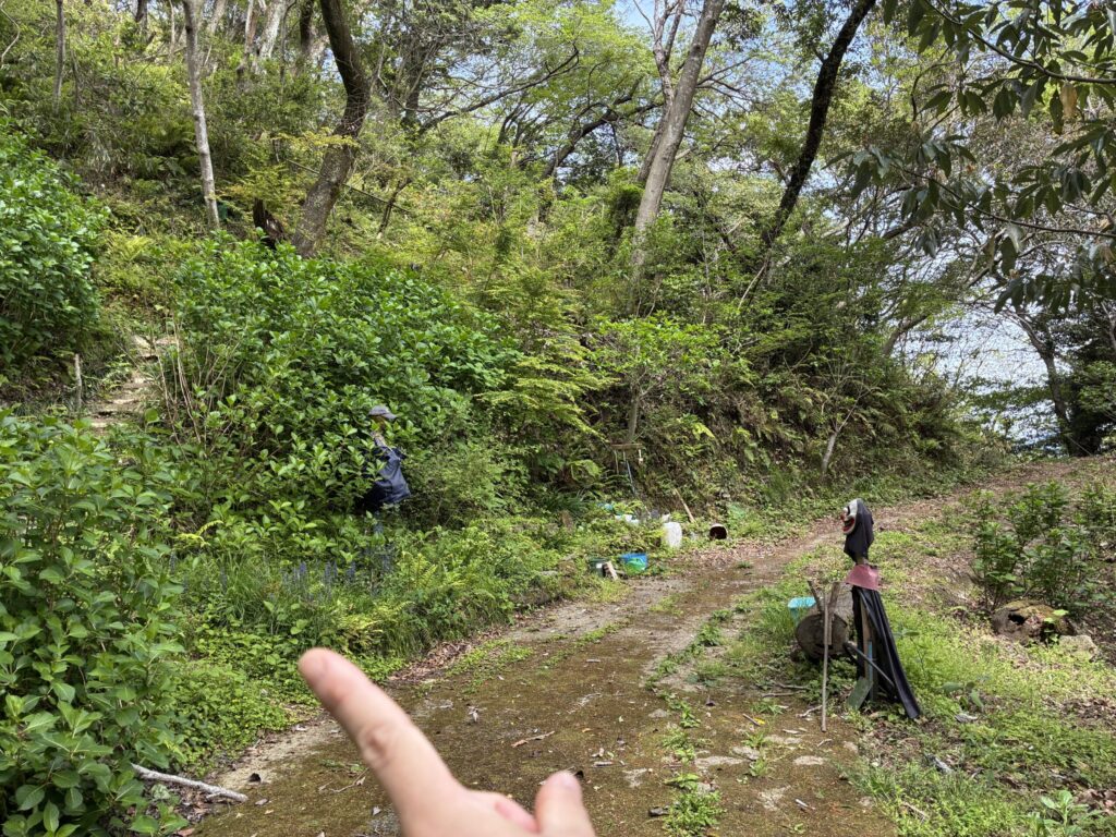 ハイキング道
