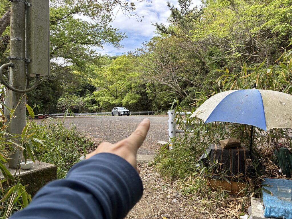 ハイキング道