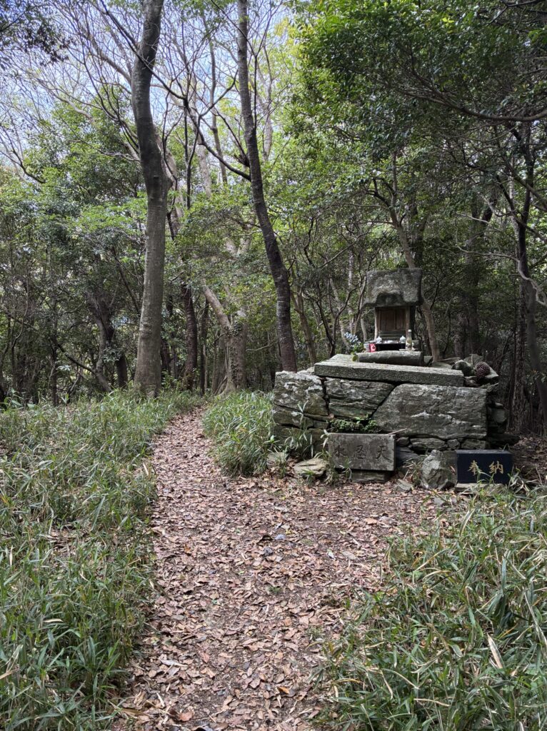 ハイキング道