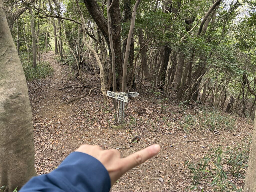 ハイキング道