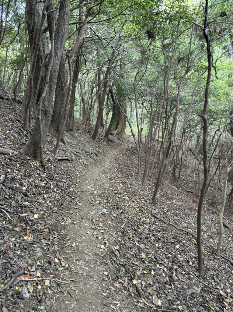 ハイキング道