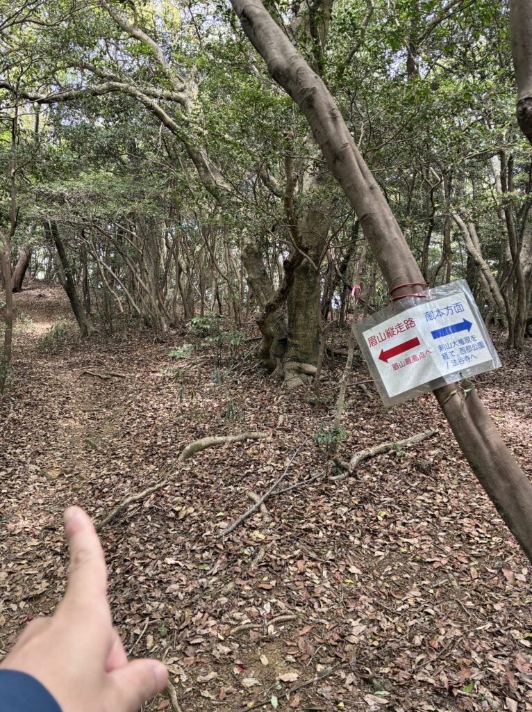 ハイキング道