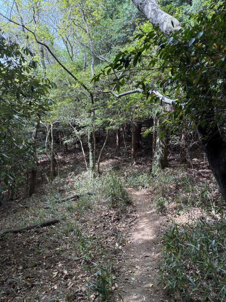 ハイキング道