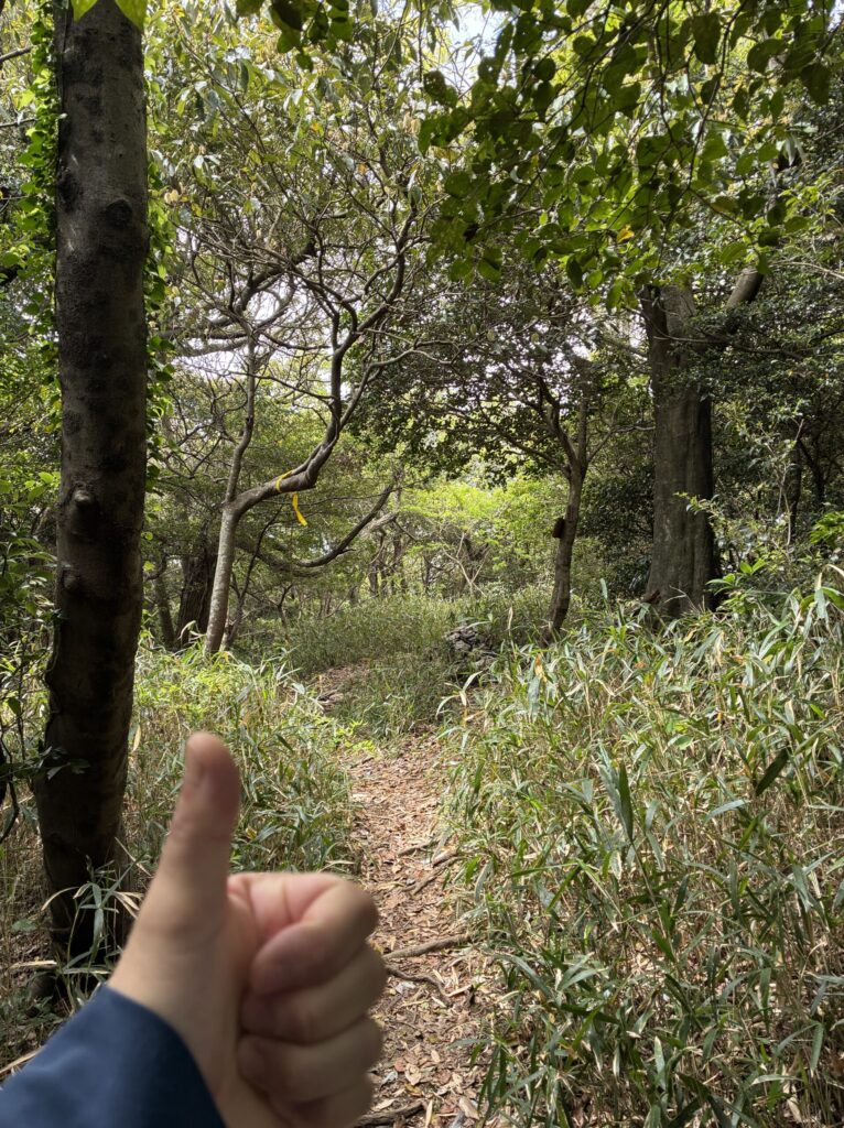 眉山の山頂