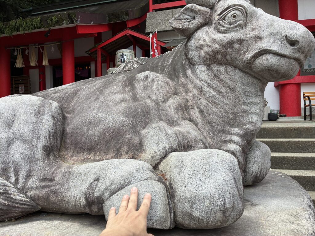 知恵の牛