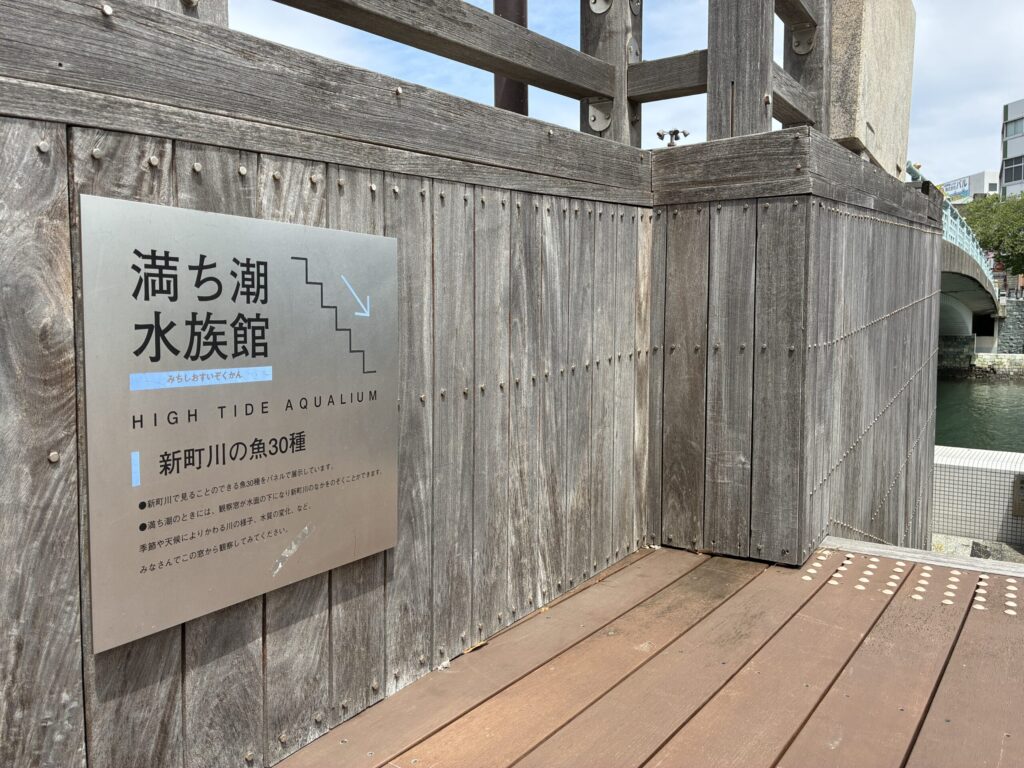 満ち潮水族館