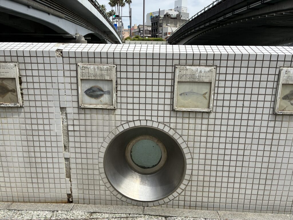 満ち潮水族館