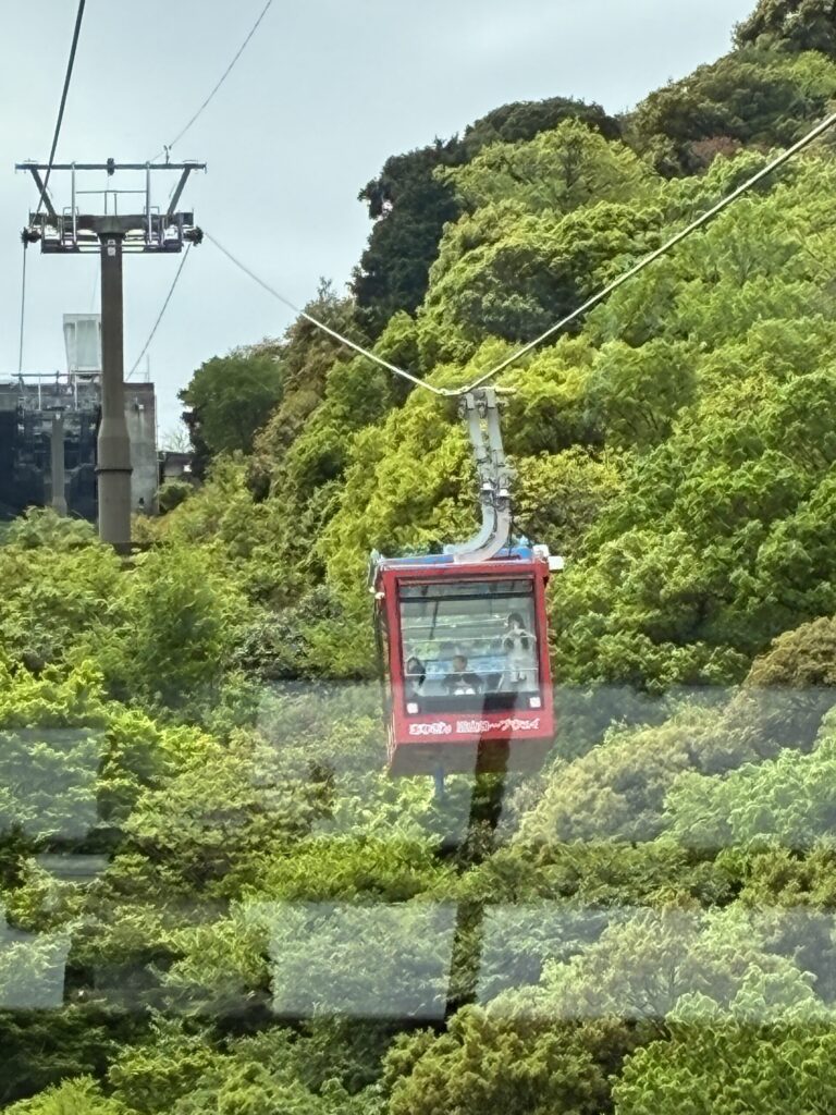 ロープウェイからの景色
