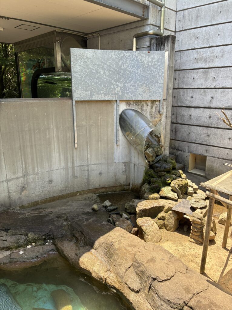 コツメカワウソケージ
