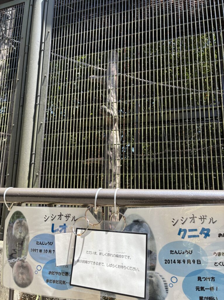 シシオザル
