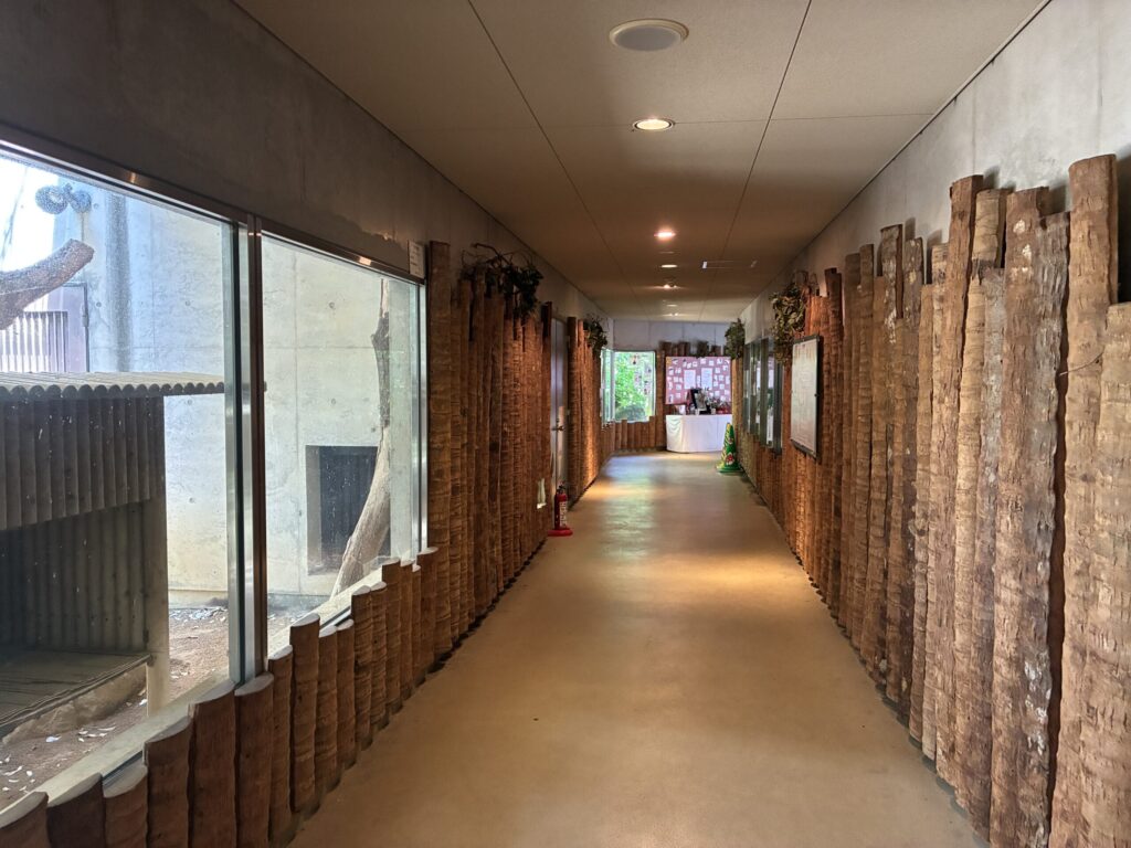 屋内コーナー