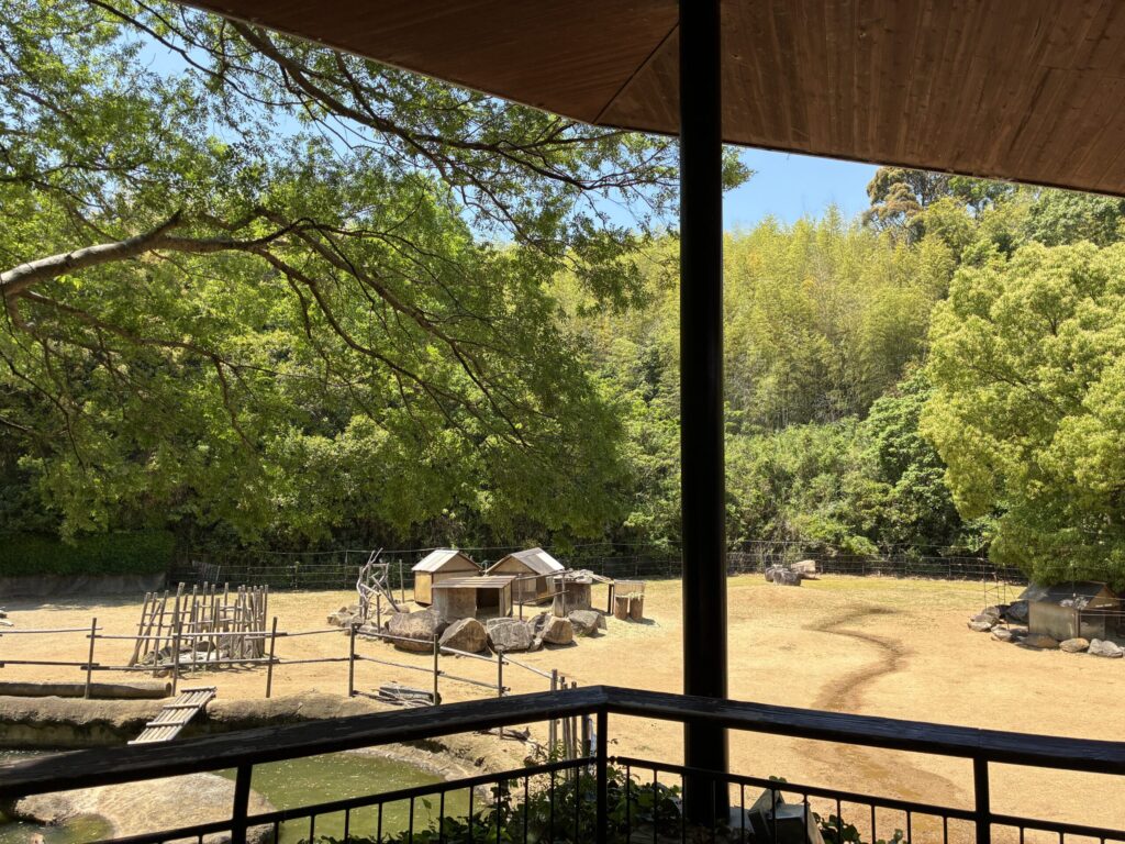 サバンナ区