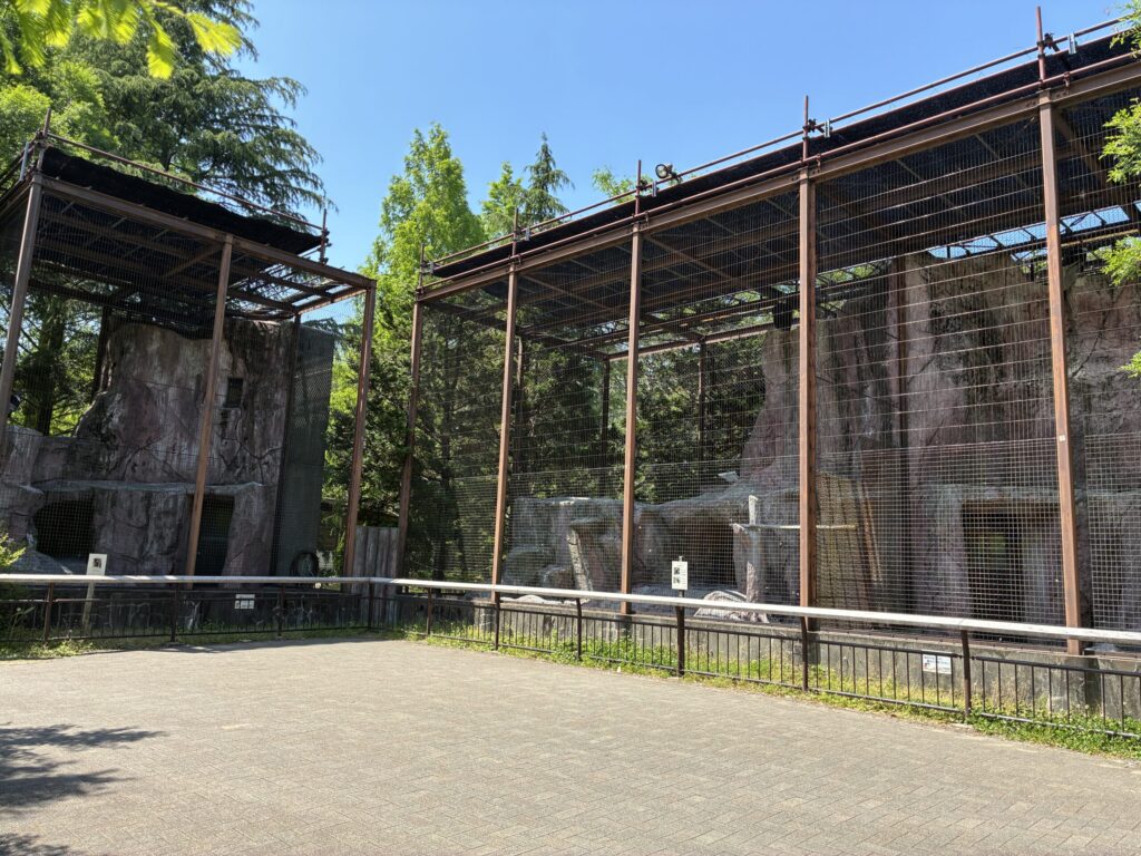 アンデスコンドル