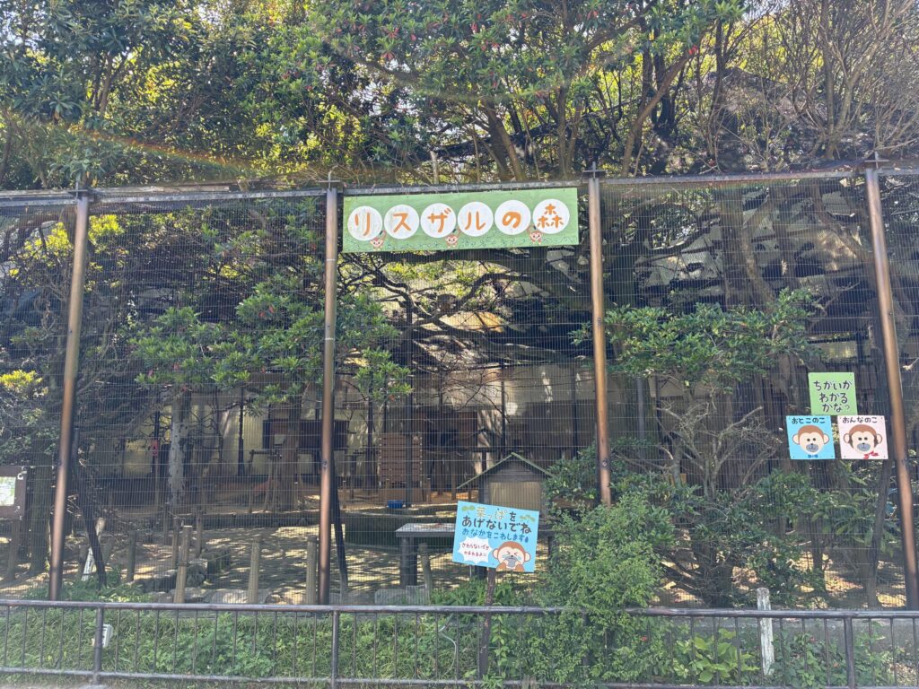 リスザルの森