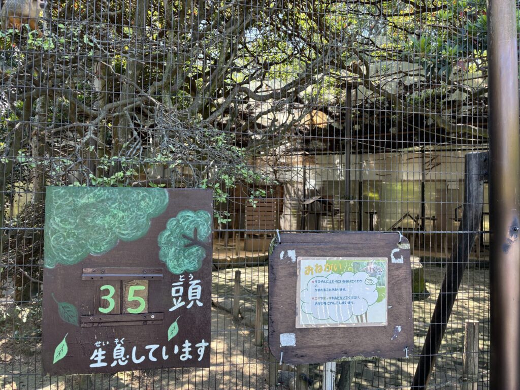 リスザル