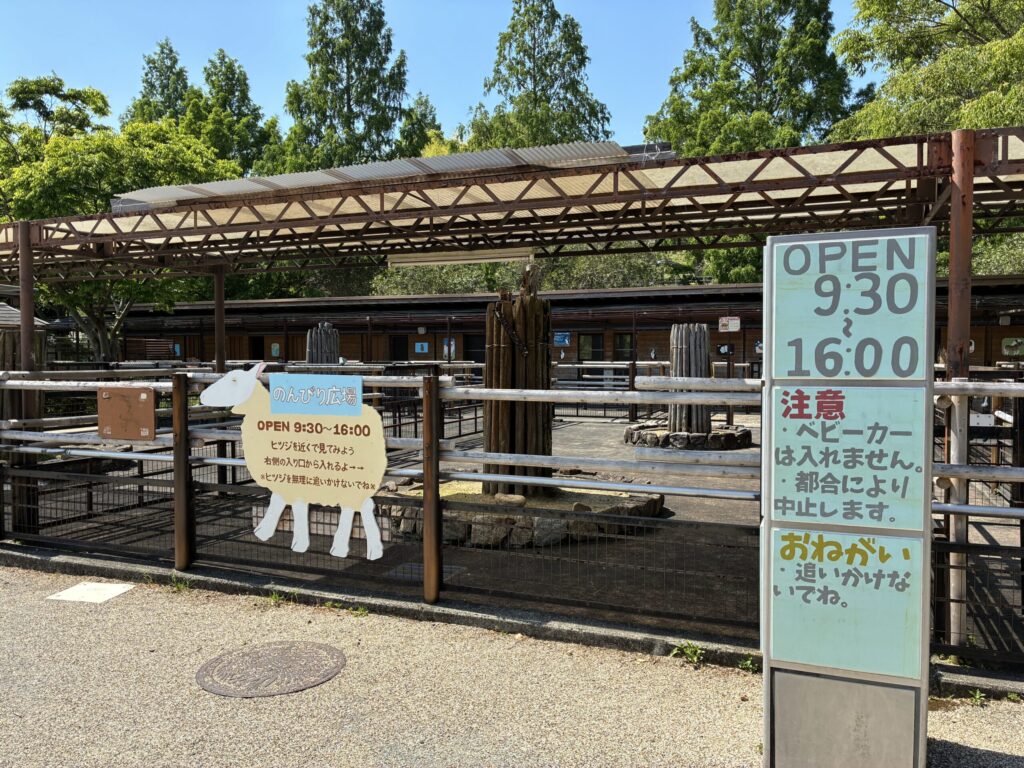ヒツジ