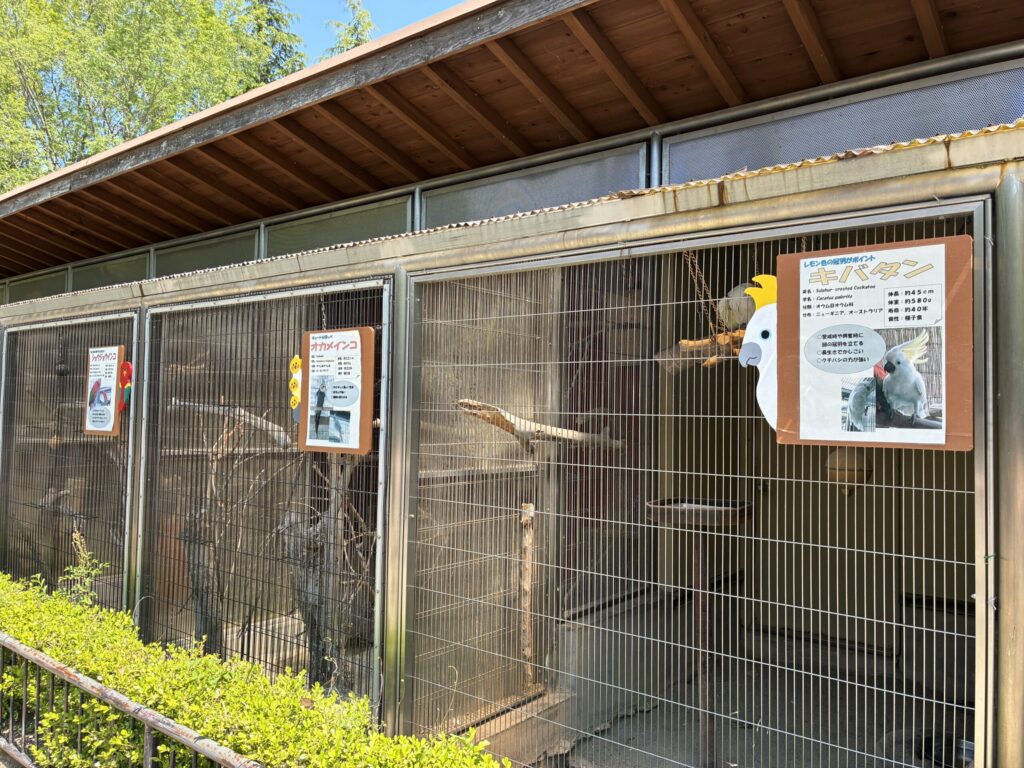 インコ