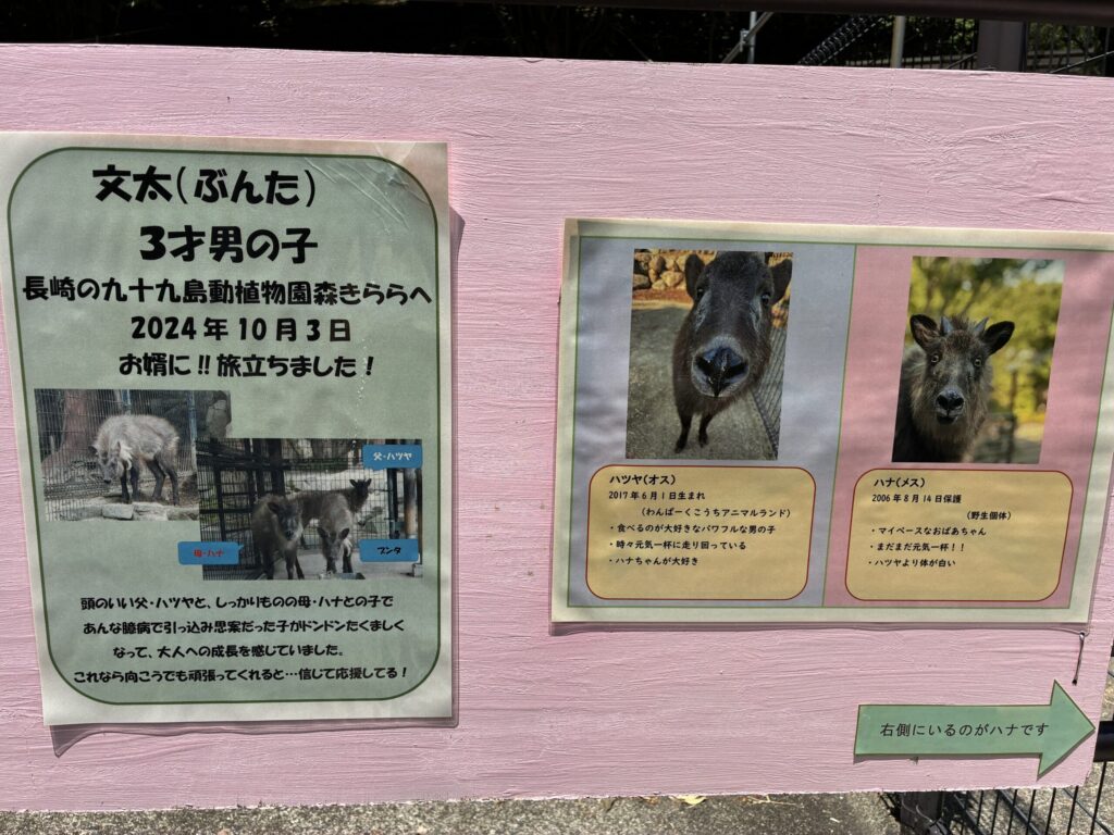 ニホンカモシカの看板