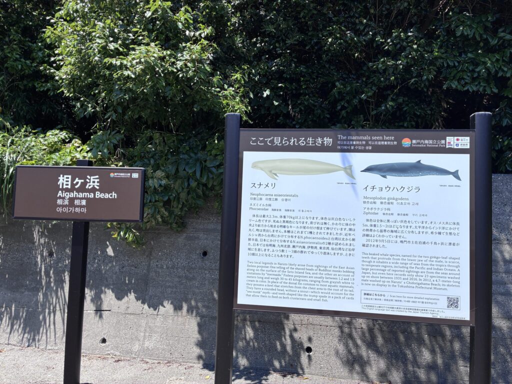 相ヶ浜