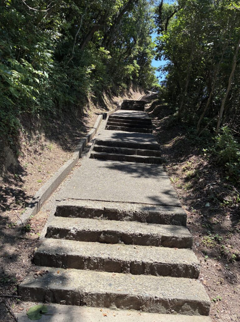 ハイキングコース