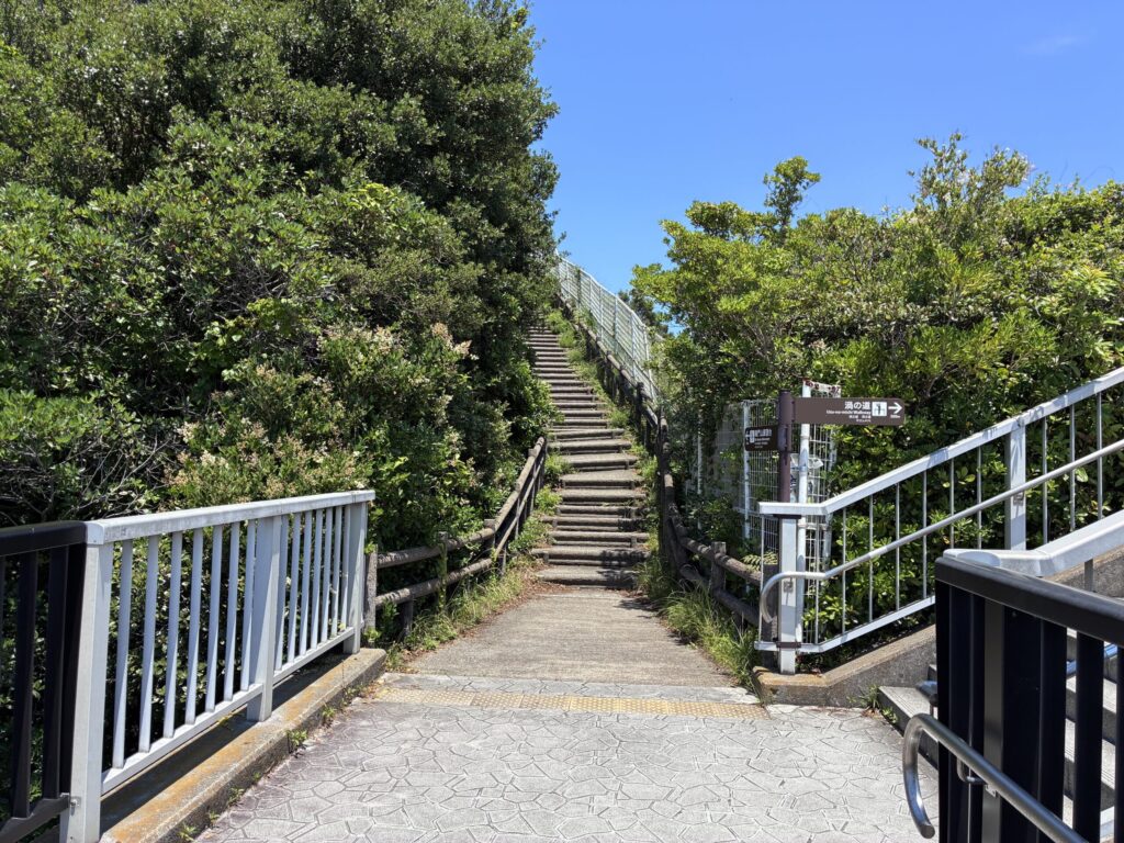 登山口