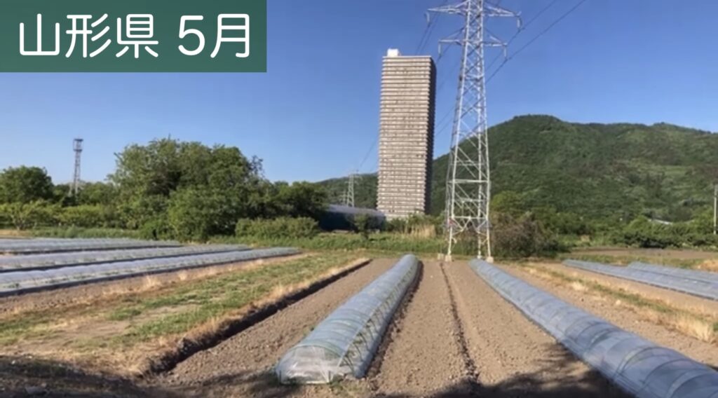スカイタワー41