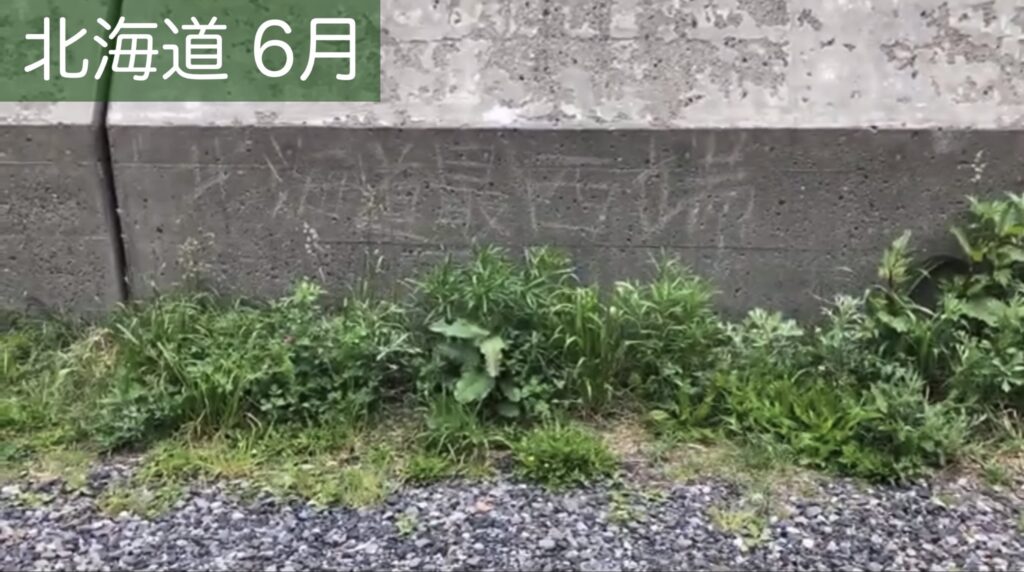 北海道最西端