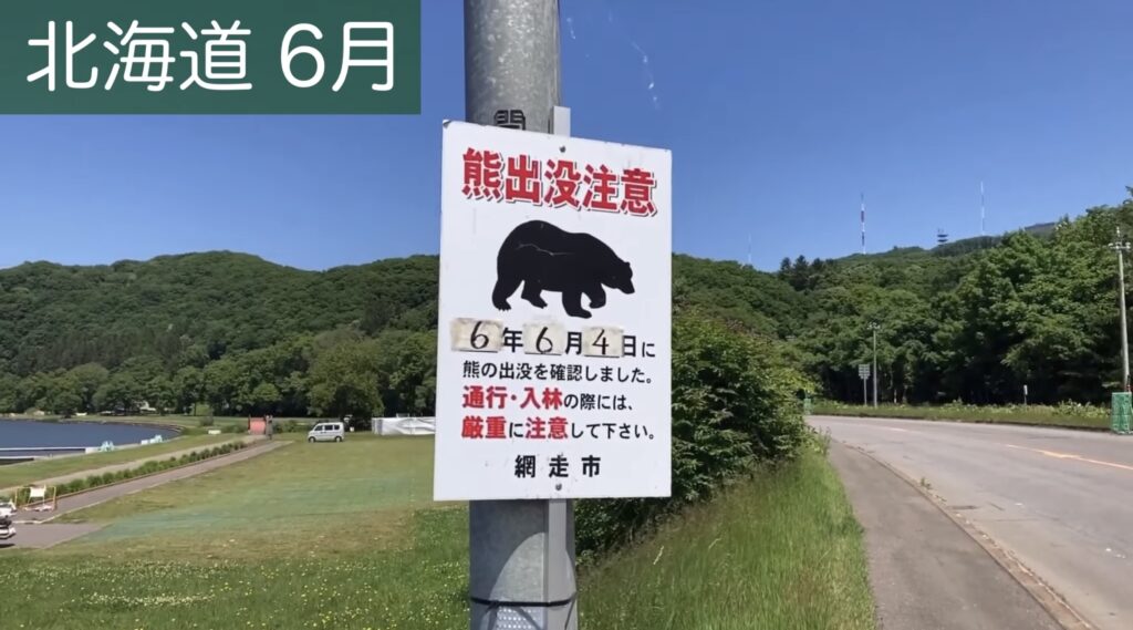 熊の看板