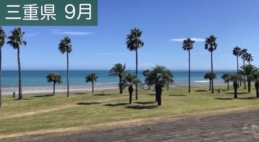 紀伊半島の海