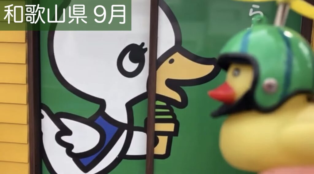 グリーンコーナー