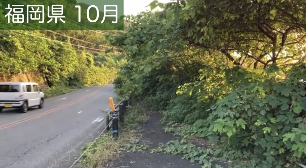 歩道通行不可