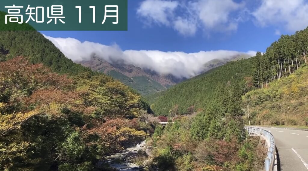 高知県