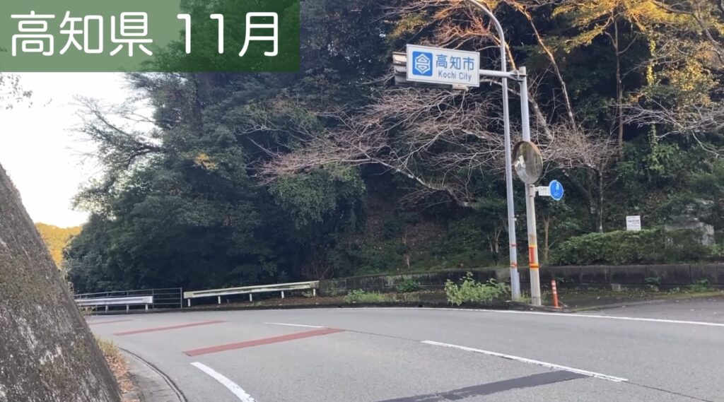 高知市