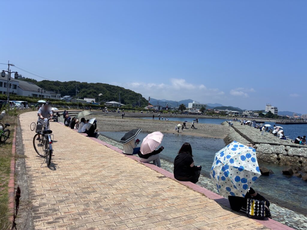 海岸