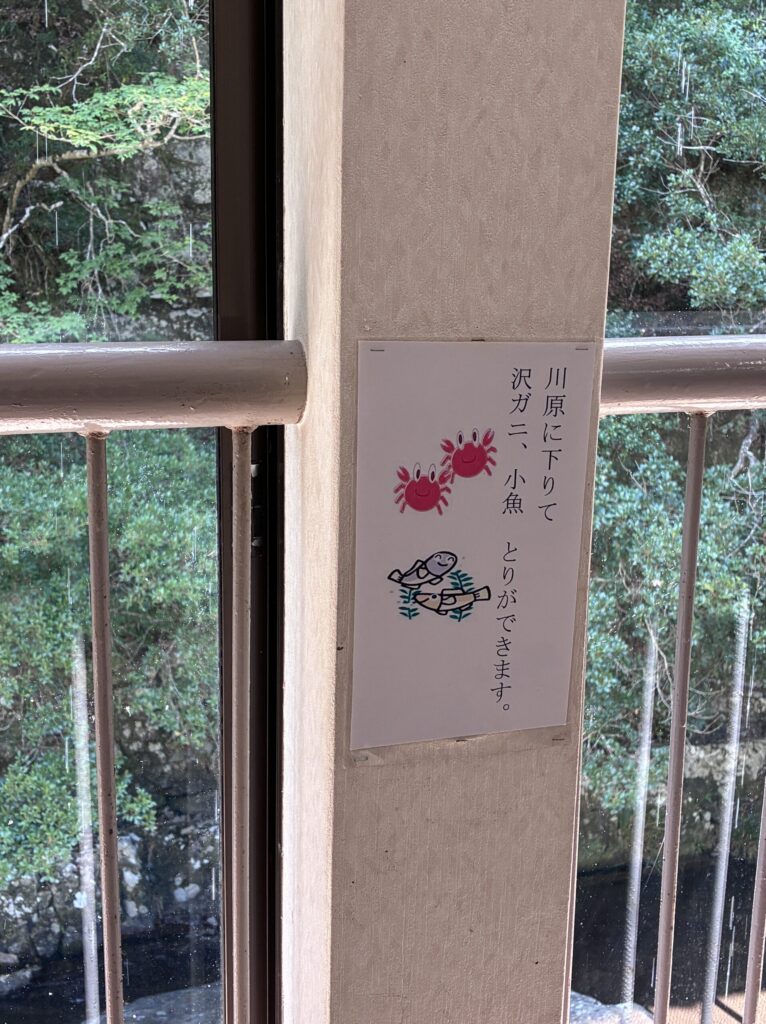 茹で時間に川に降りれる