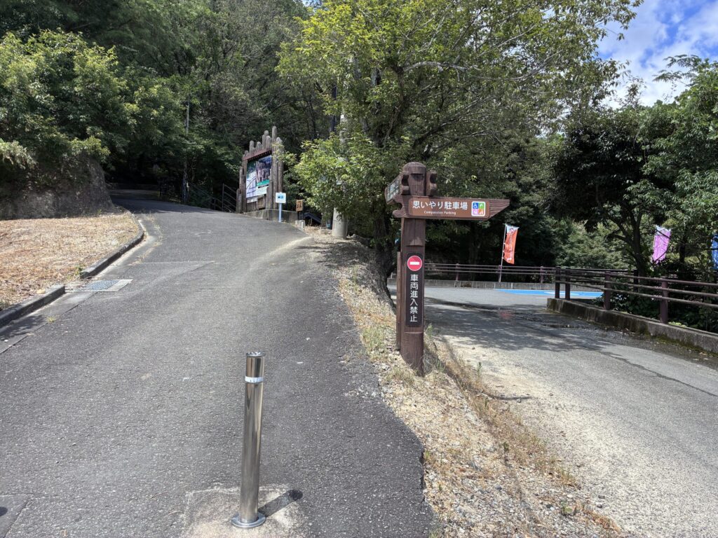 分岐