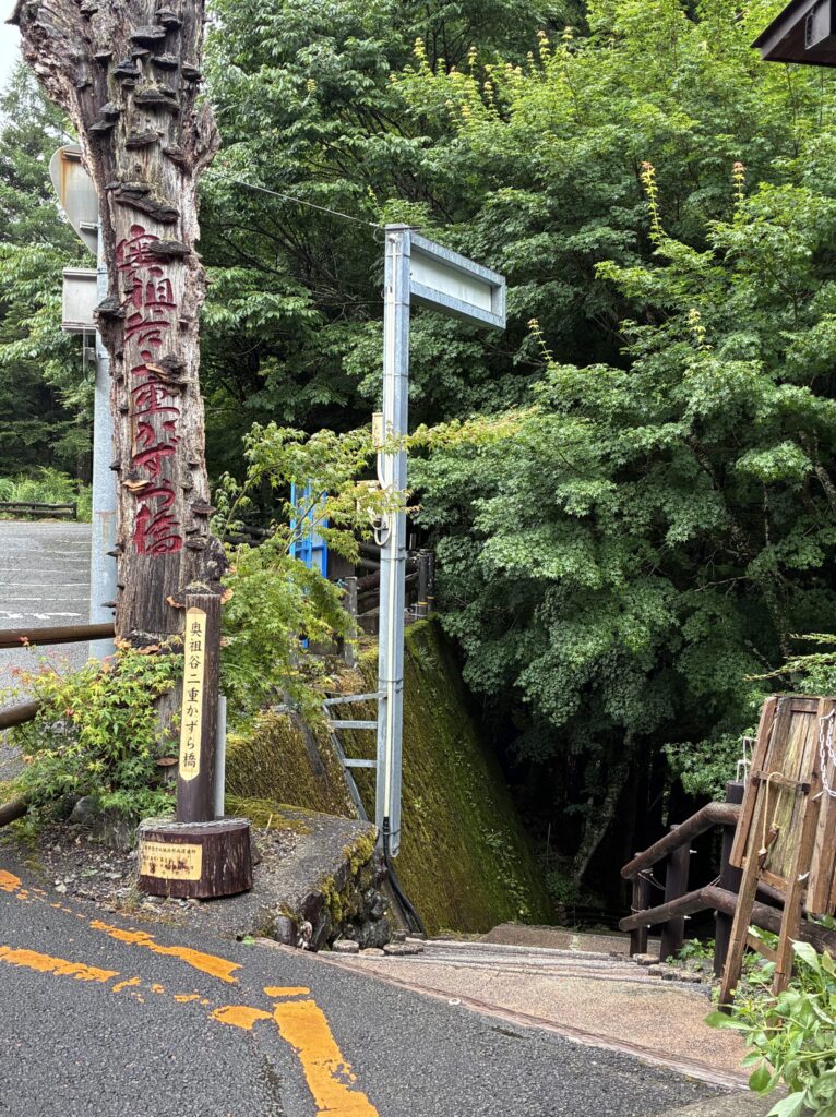 入口