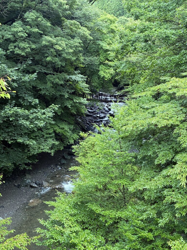かずら橋