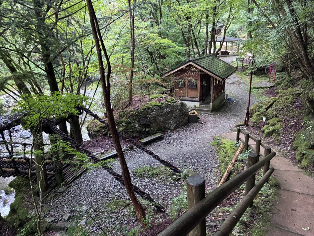 キャンプ場